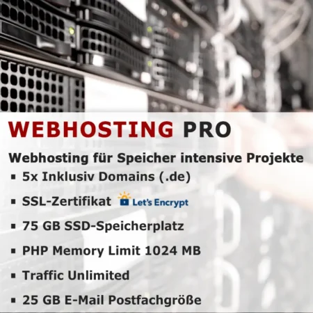 Webhosting PRO für Website